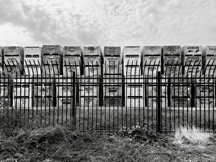 Pacific Crest Trail - Days 161-162 - Hood River