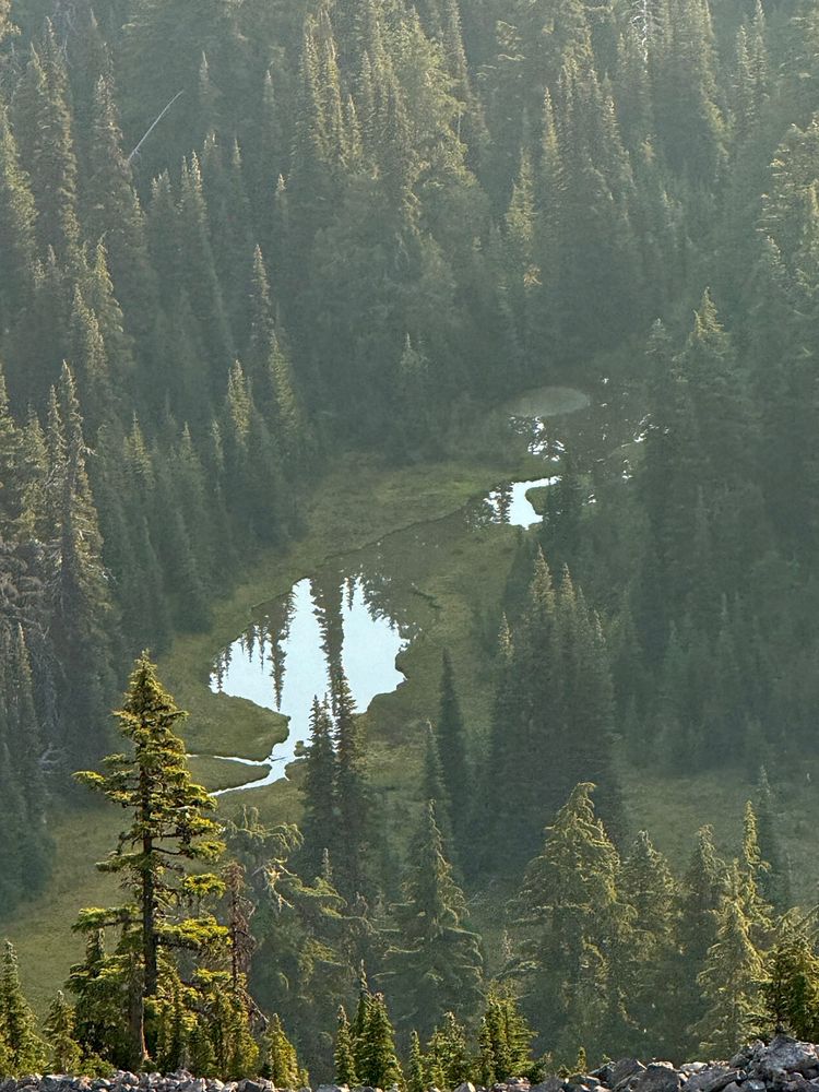 Pacific Crest Trail - Day 170 - White Pass