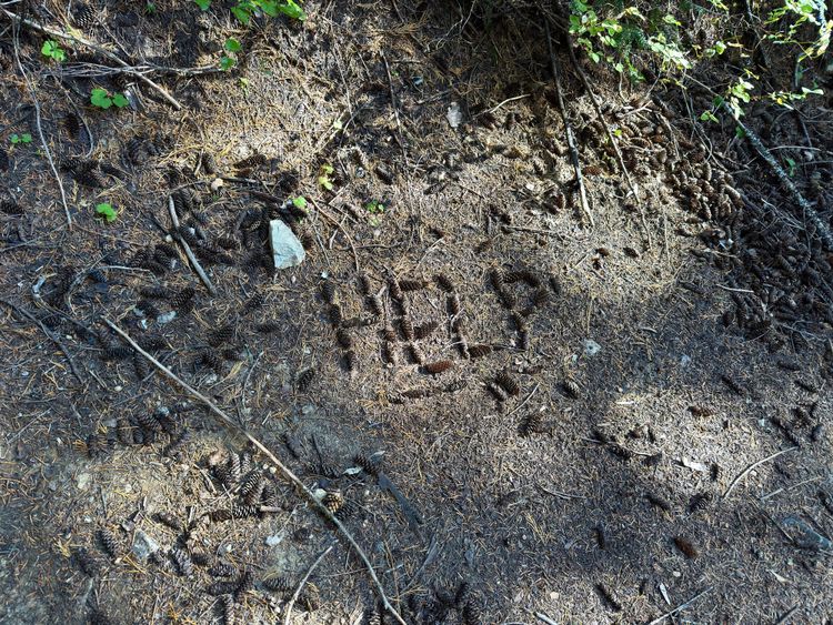 Pacific Crest Trail - Day 181 - Glacier Peak Wilderness