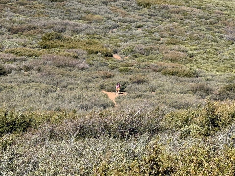 Pacific Crest Trail - Day 5