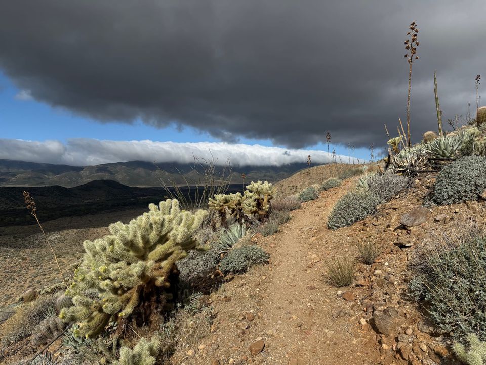 Pacific Crest Trail - Day 8