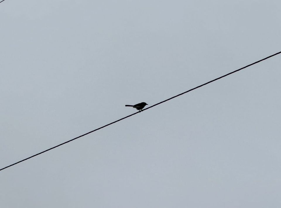 Pacific Crest Trail - Day 13