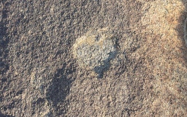 Pacific Crest Trail - Day 18