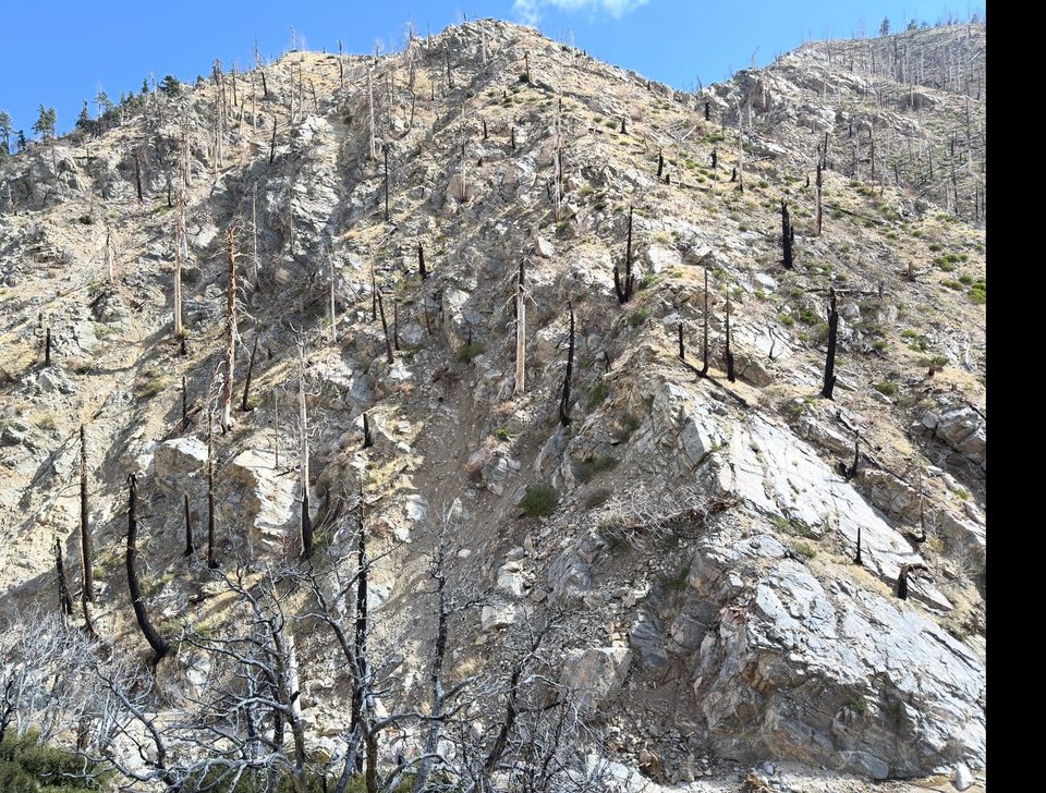 Pacific Crest Trail - Day 29