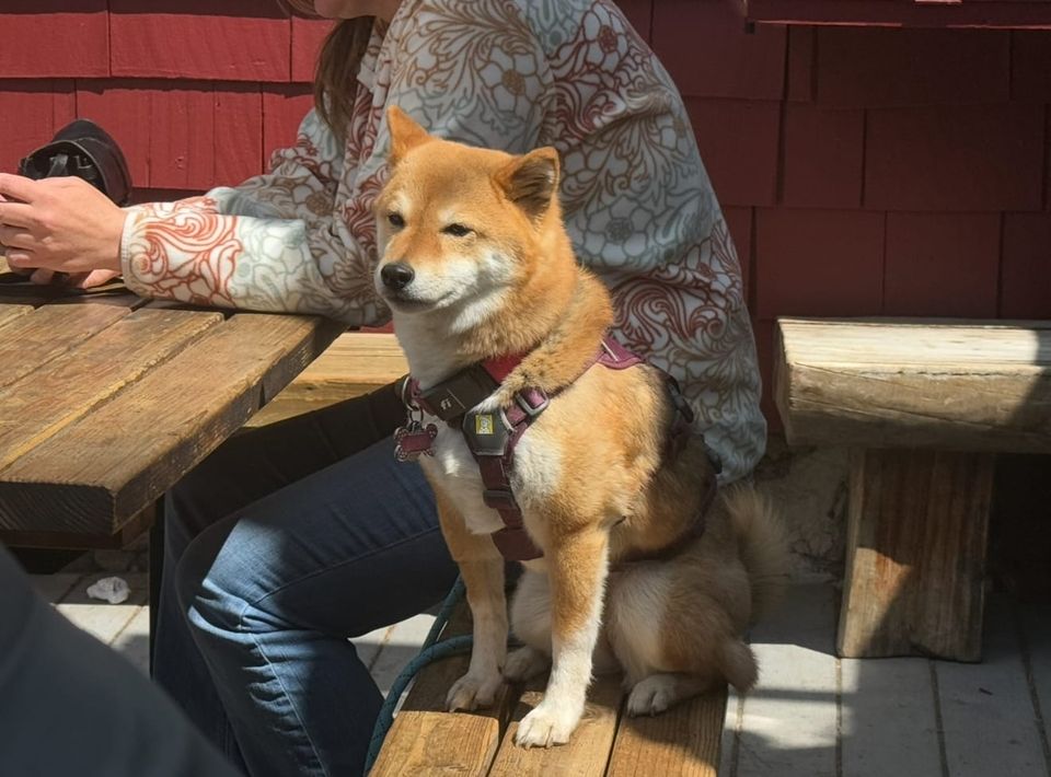 Pacific Crest Trail - Days 40-41 - Zeros in Wrightwood