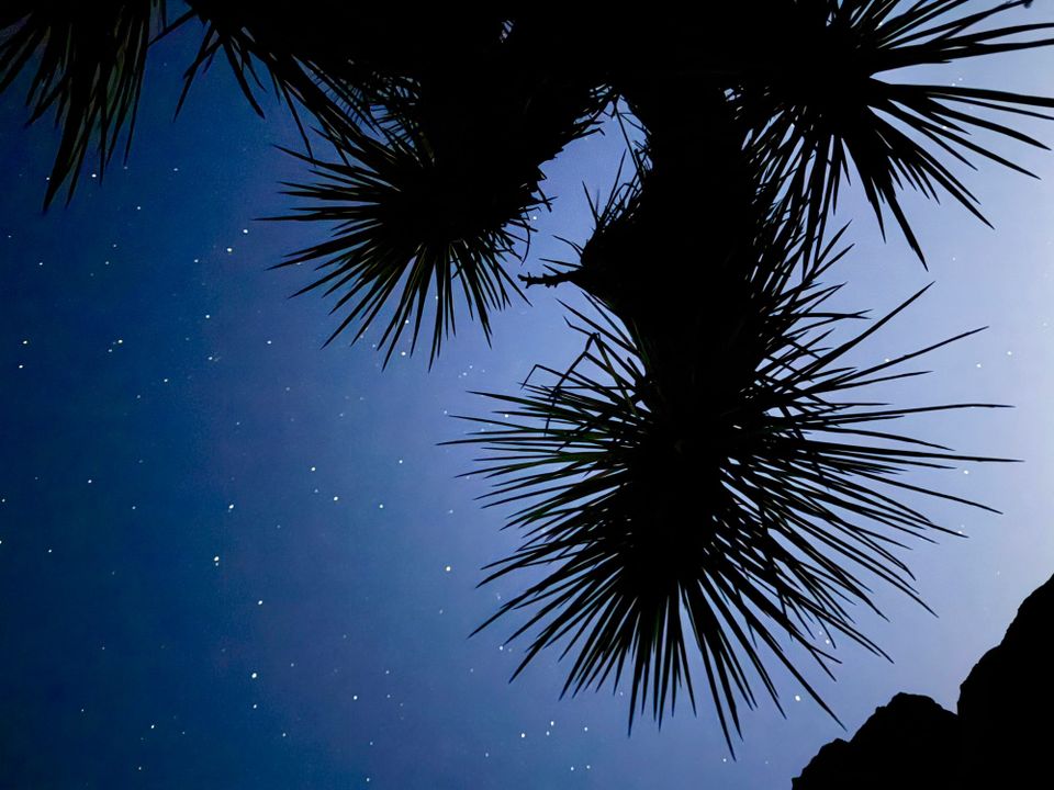 Pacific Crest Trail - Day 59