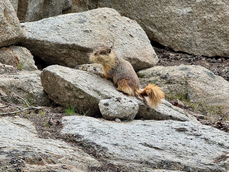 Pacific Crest Trail - Day 72 - Mount Whitney