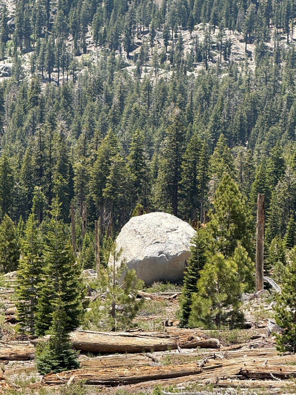 Pacific Crest Trail - Day 90 - Devil’s Postpile