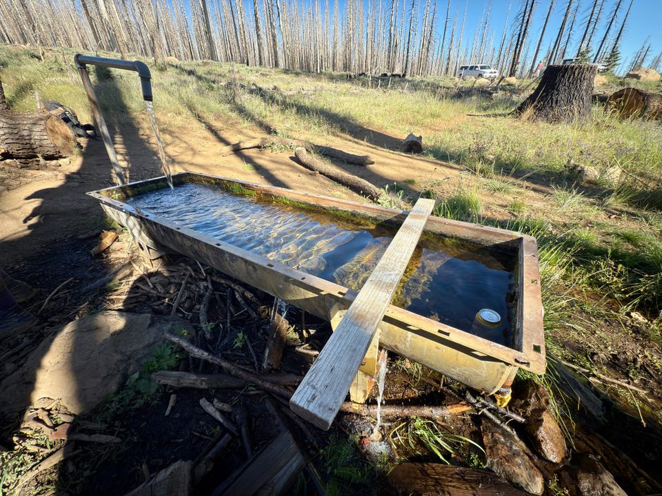 Pacific Crest Trail - Day 118 - Sierra and Cascade Divide