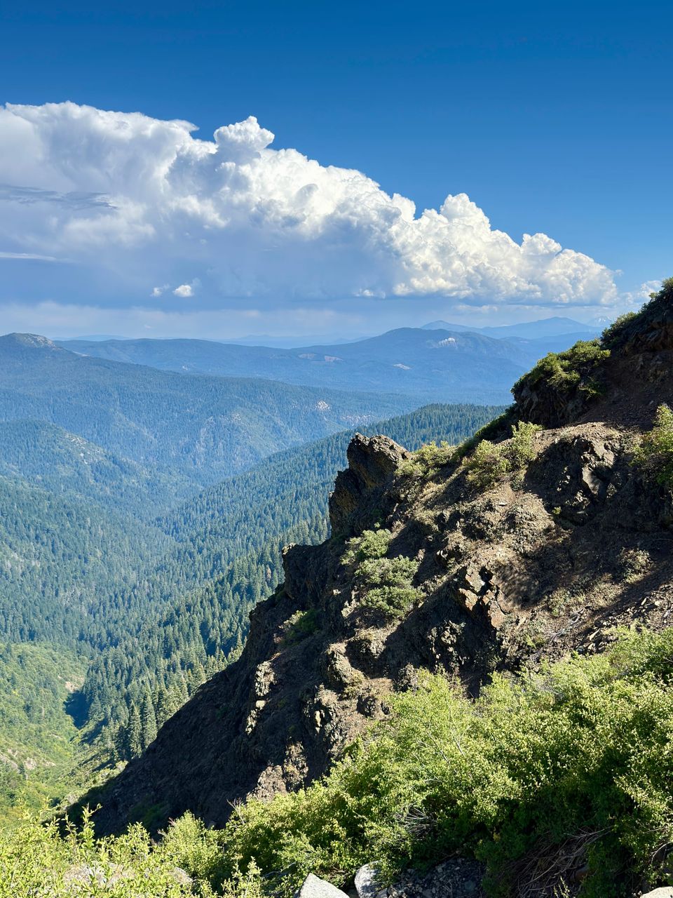 Pacific Crest Trail - Day 125 - Forest Fire 🔥?