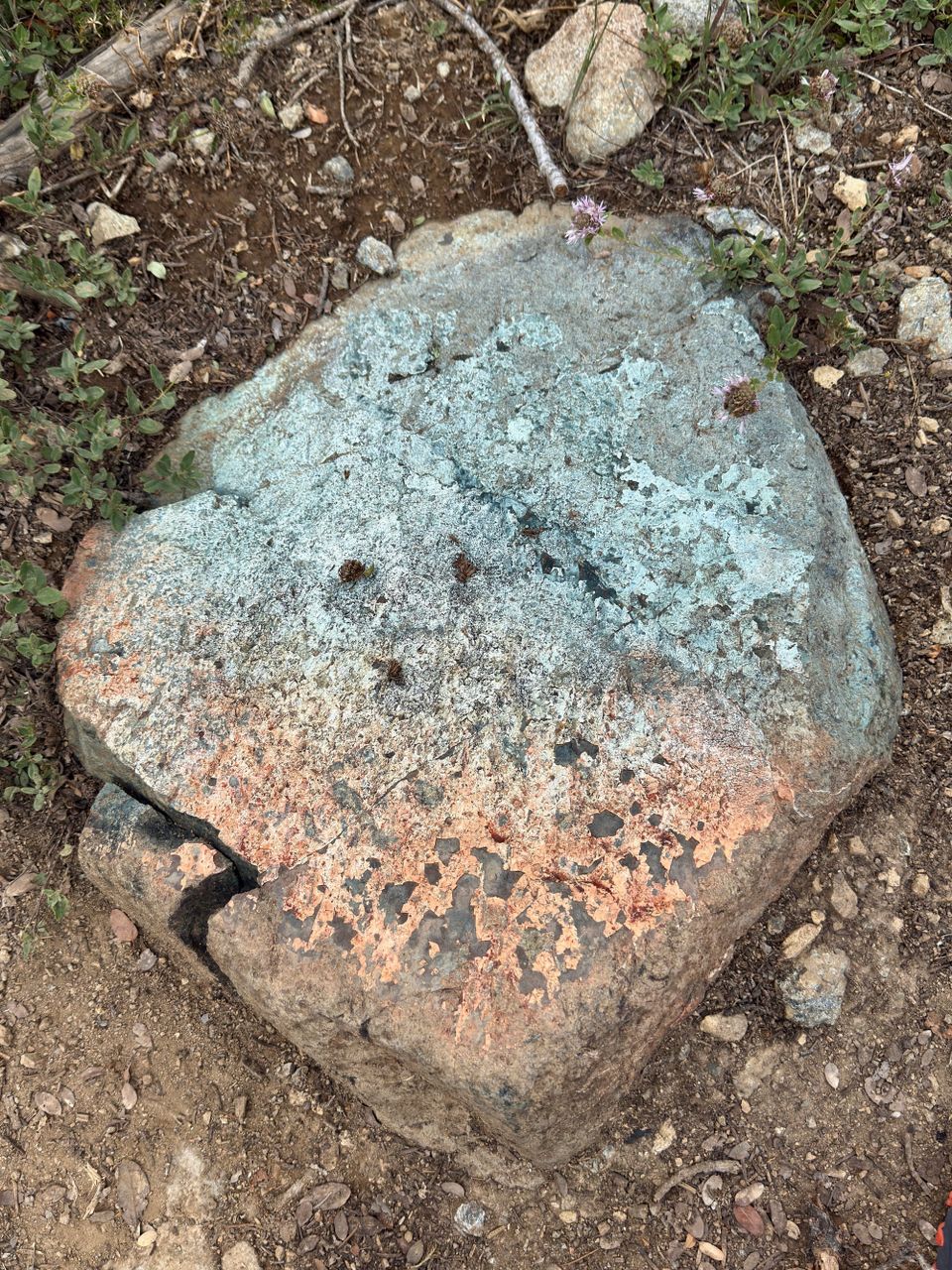 Pacific Crest Trail - Day 130 - Big Cliff Fire closure and Callahan, CA