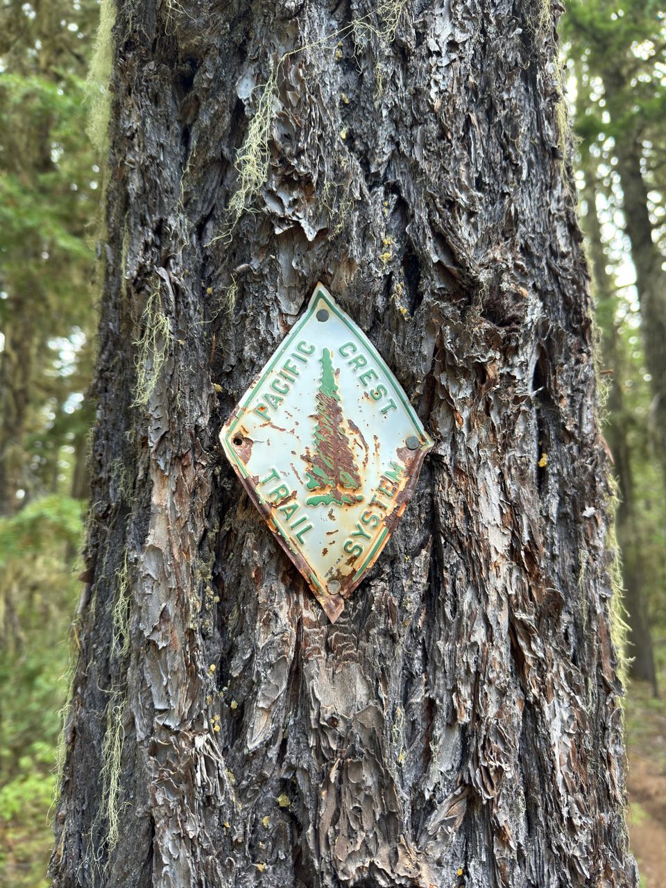 Pacific Crest Trail - Day 159 - Warm Springs Reservation