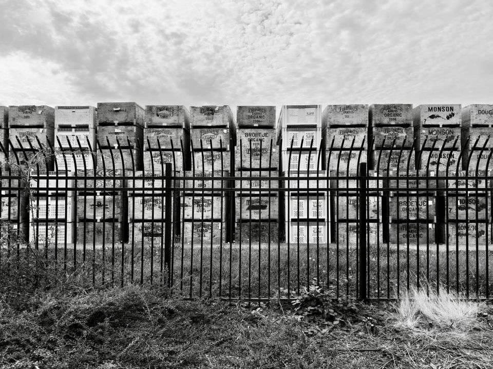 Pacific Crest Trail - Days 161-162 - Hood River