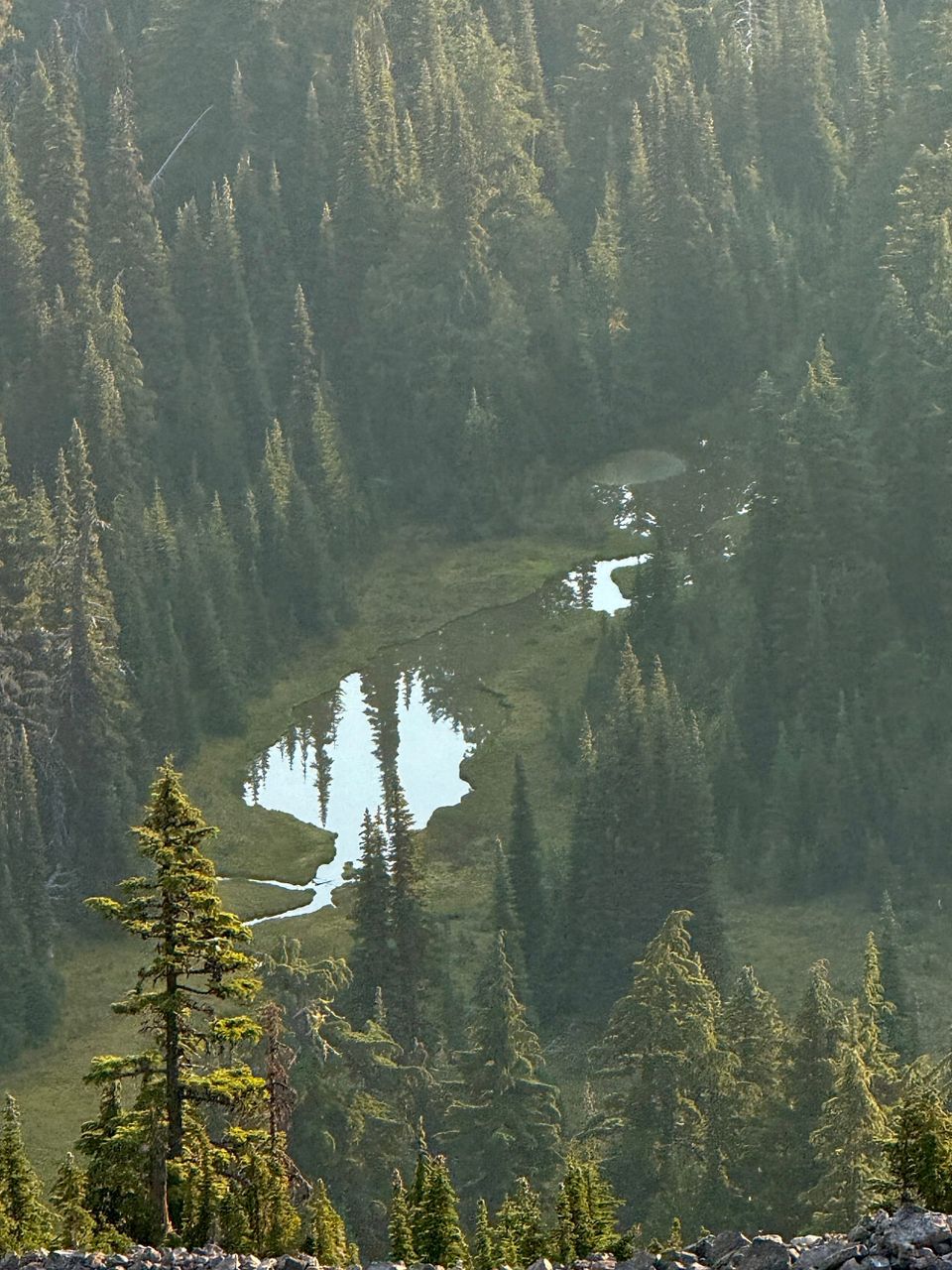 Pacific Crest Trail - Day 170 - White Pass