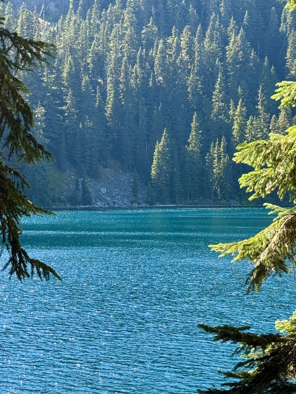 Pacific Crest Trail - Day 174 - Snoqualmie Pass