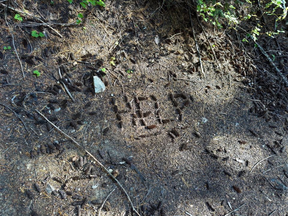 Pacific Crest Trail - Day 181 - Glacier Peak Wilderness