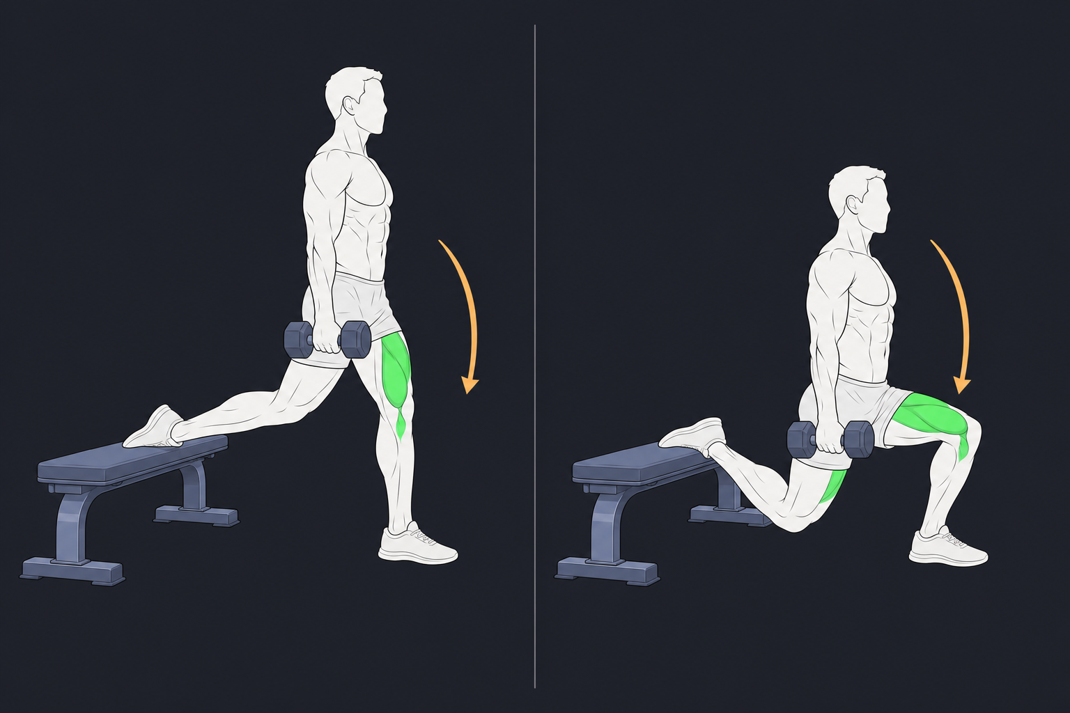 3. Bulgarian Split Squat — start and finish position