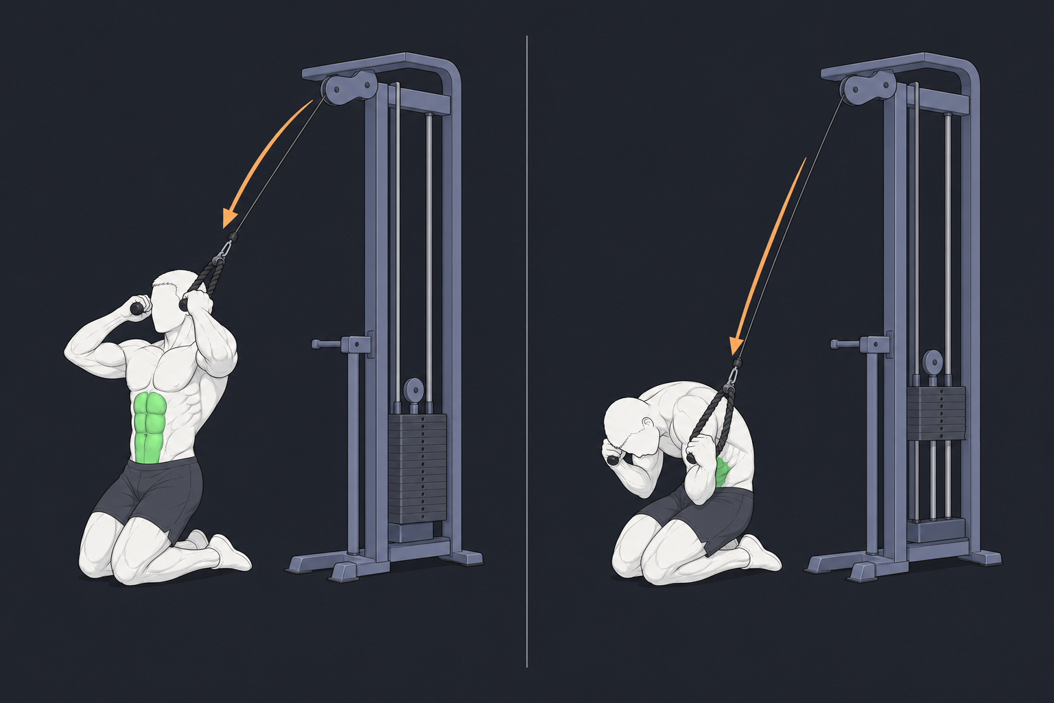 7. Cable Crunch — start and finish position