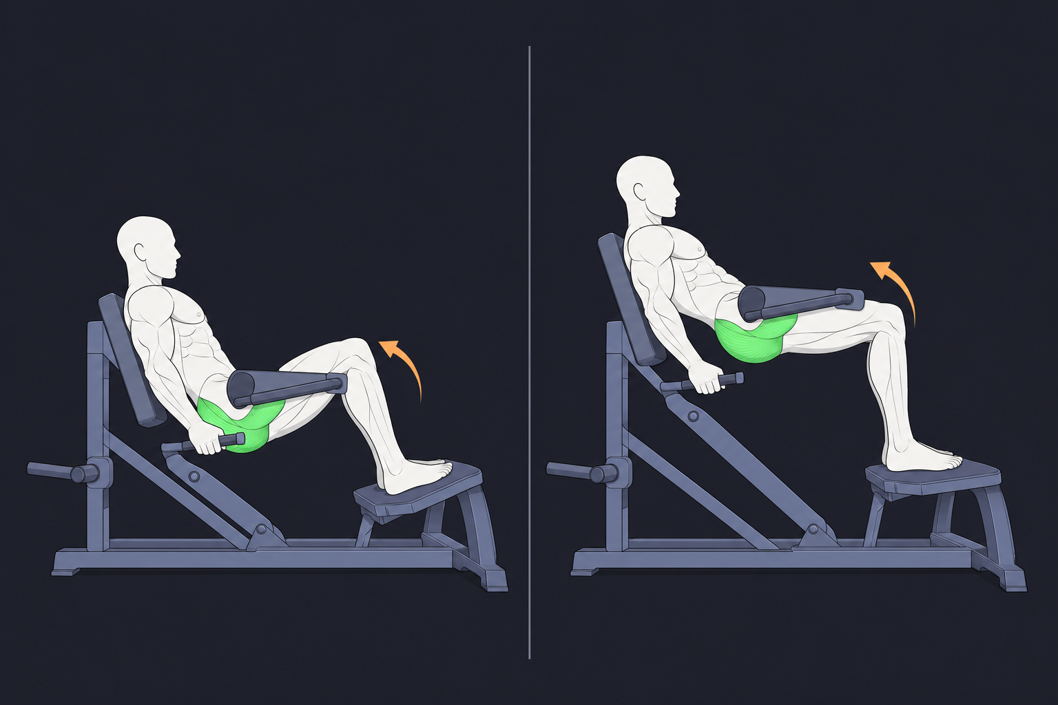 4. Hip Thrust — start and finish position
