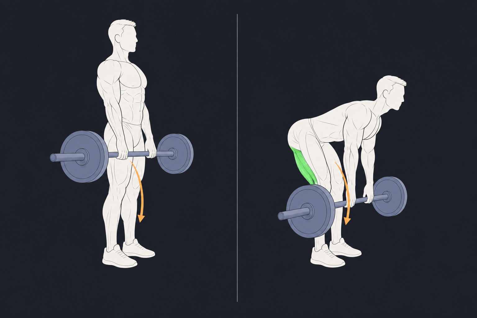1. Romanian Deadlift — start and finish position