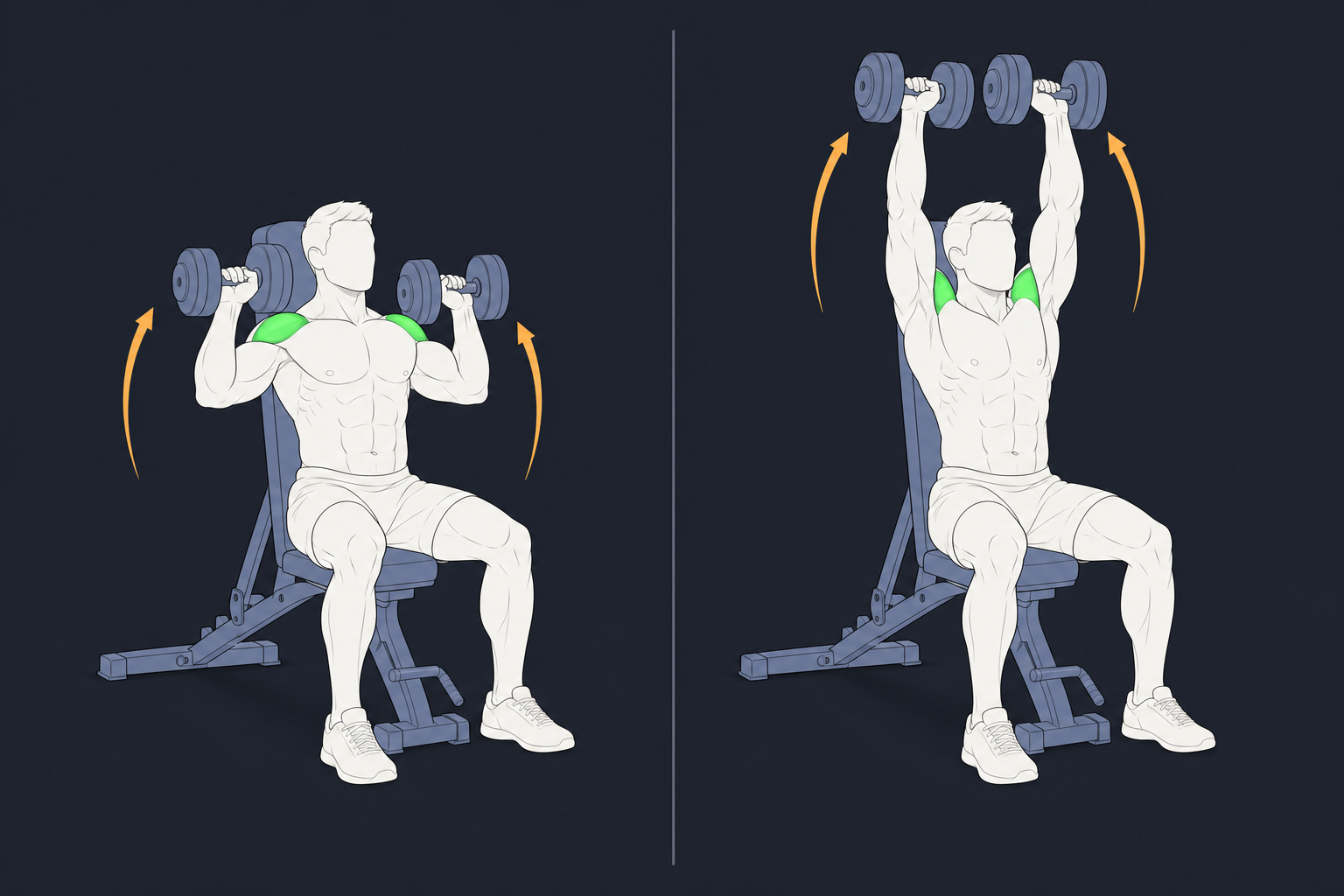 1. Seated Dumbbell Shoulder Press — start and finish position