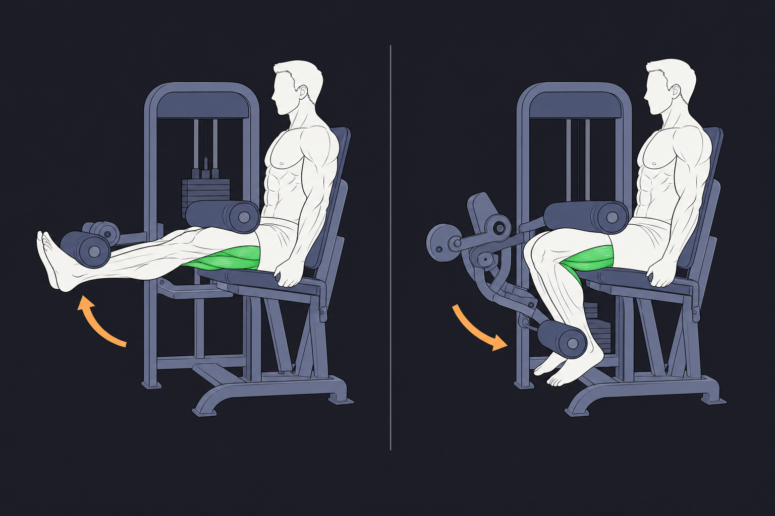 2. Seated Leg Curl — start and finish position