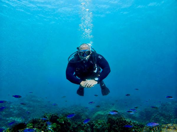 Bajo el Agua con Miranda — Life