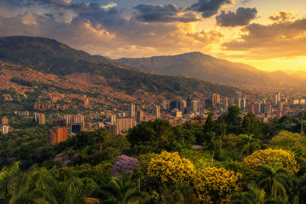 The City of Eternal Spring — Biohacking