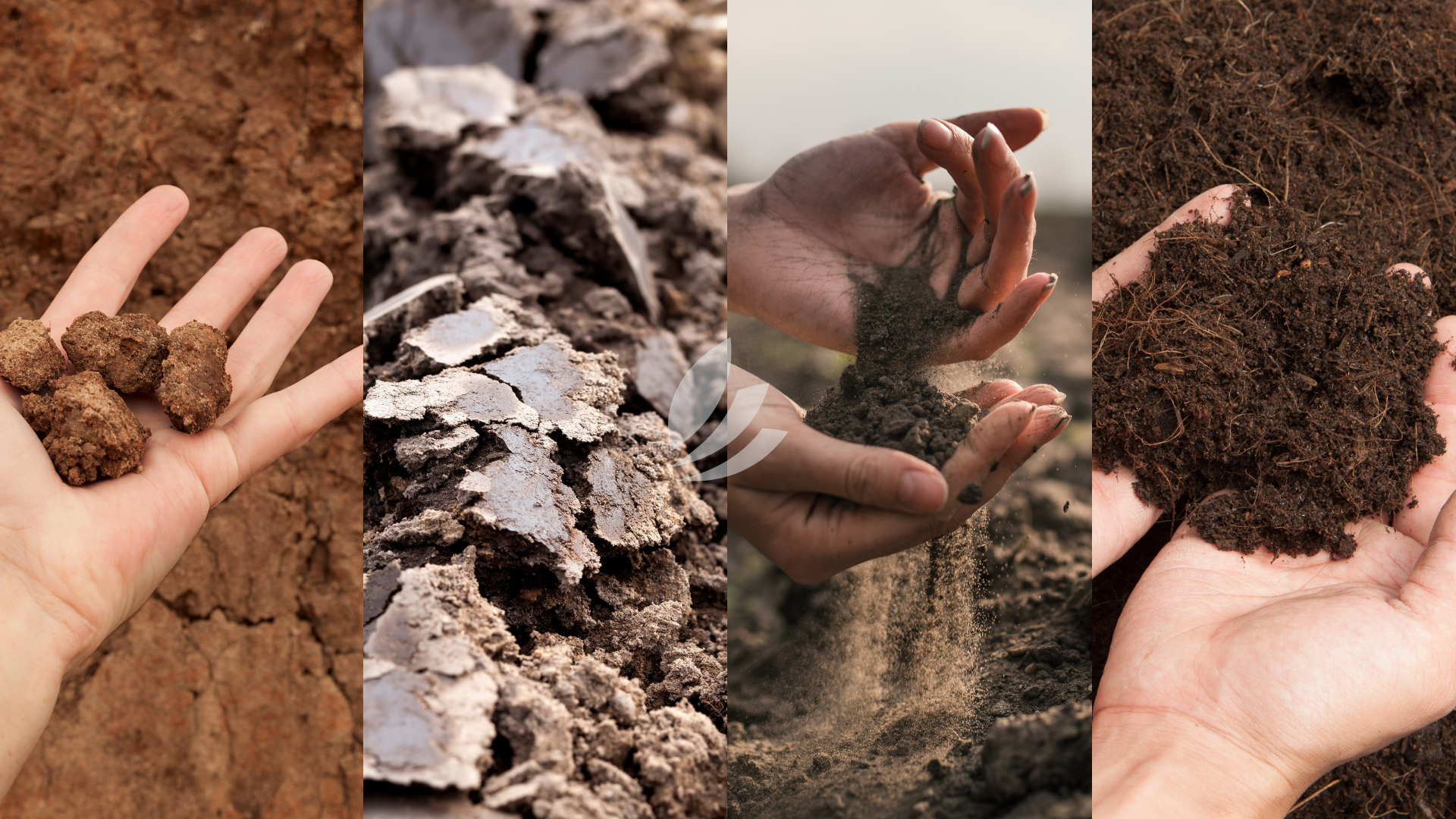 Adapt your agricultural practices according to your soil type