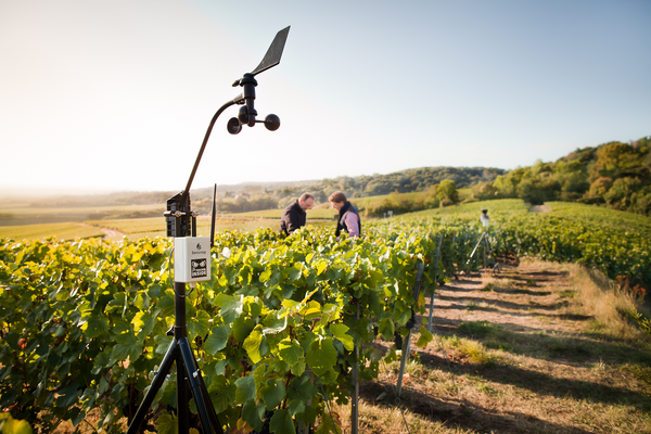 The connected anemometer: an invaluable ally in the wind