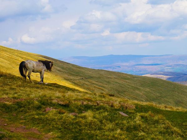 Seasonal forecasts: rain, temperature... what's the trend for spring 2025?