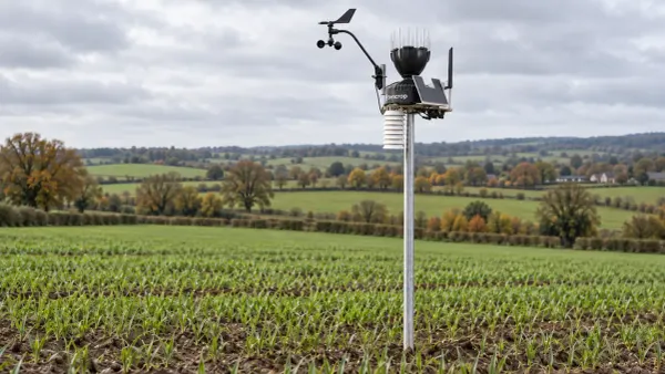 Sencrop weather station in a field of emerging winter barley in autumn