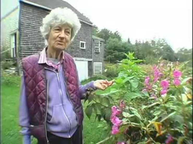 Lois Dodd: Maine Master