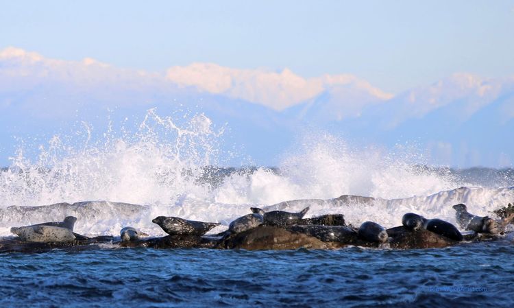 Terrill Welch by herself - issue #14 Short Reprieve, Rest and Cold Snap