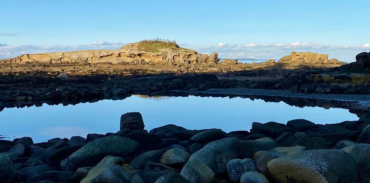 A Brush with Life - Issue #130 Pockets of Silence