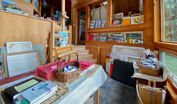 Terrill Welch by herself - issue #36 Quiet Drama in a Live-Work Space