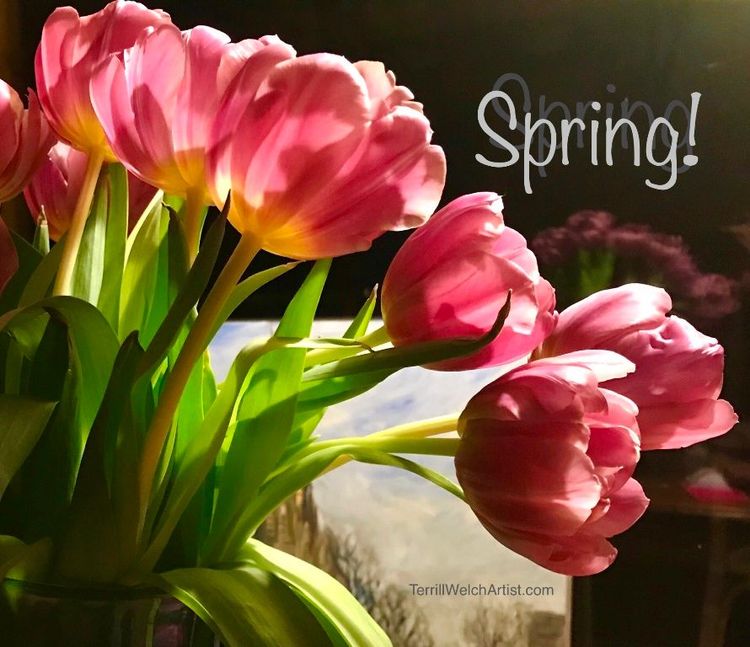 A Brush with Life - Issue #19 When things might not go as imagined 