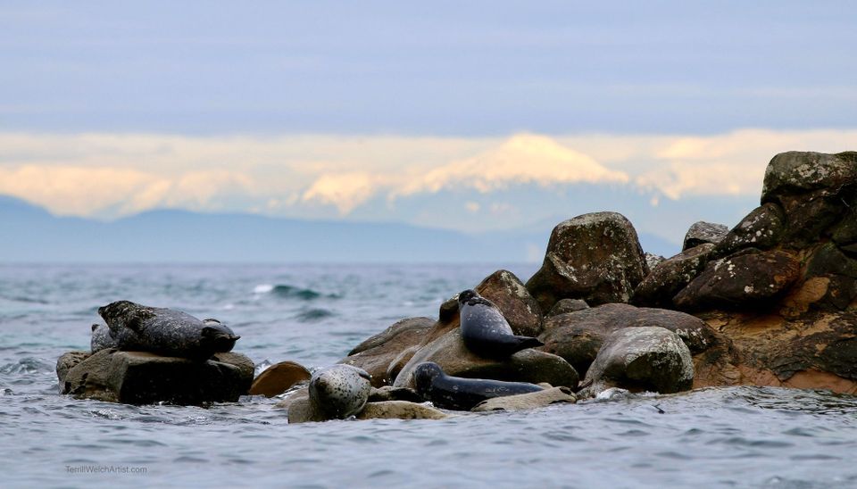 Terrill Welch by herself - Issue #2 The Coziest of Cozy Season