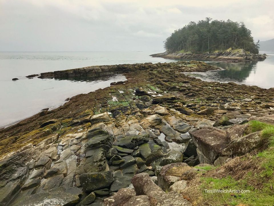 A Brush with Life - Issue #25 Painting Within Infinite Time