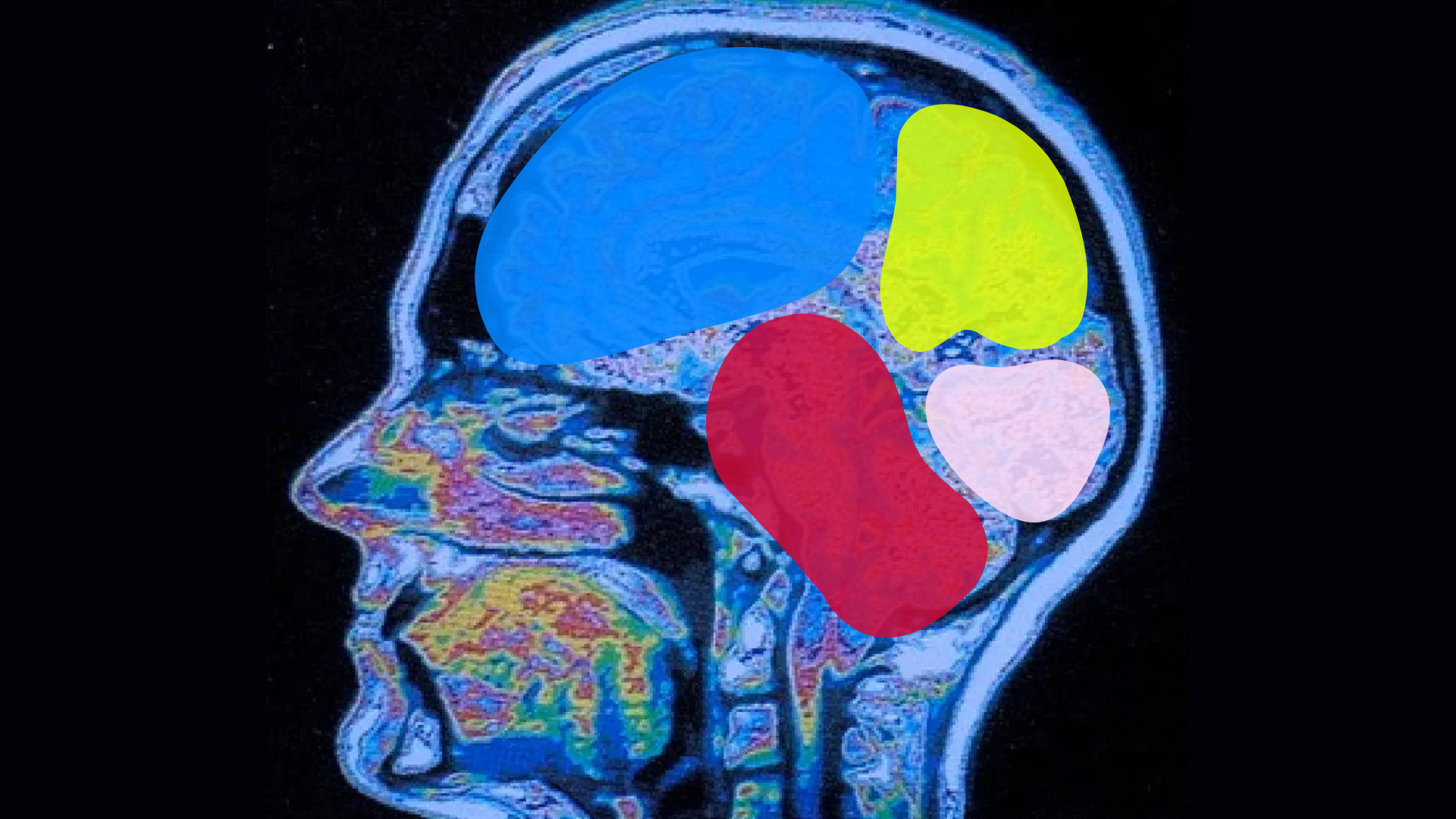 Neuroaesthetics