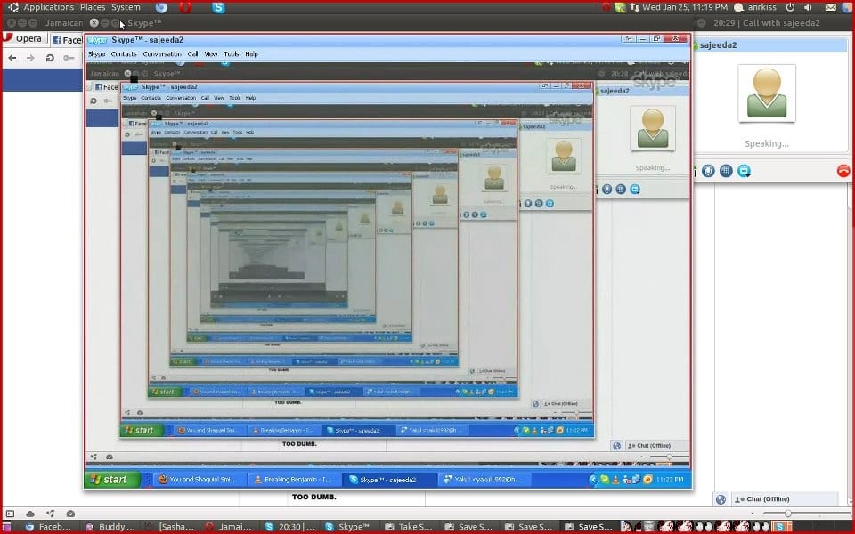 Windows Of The Mind