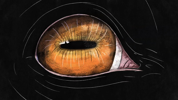 Rdio's New Music Weekly