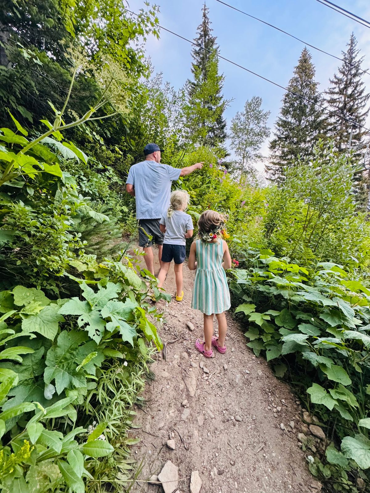 About The Little Wayfarers