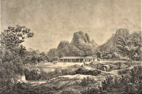 O Filho Desconhecido do Barão Langsdorff