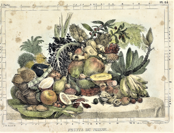 Frutos, Legumes e Hortaliças - Breve História da Alimentação