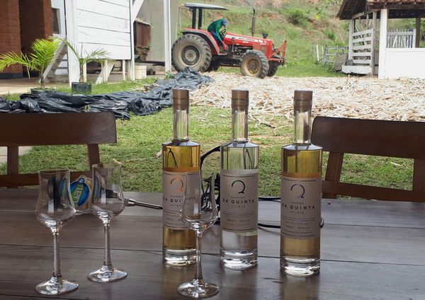                                                   As garrafas de vidro são importadas da França