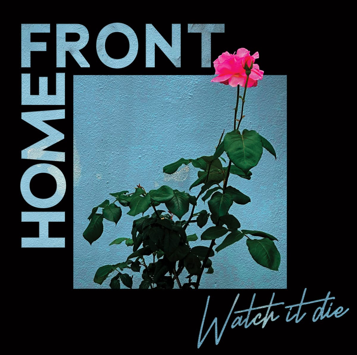 The cover of Home Front's "Watch It Die" depicting a flower in front of a blue wall