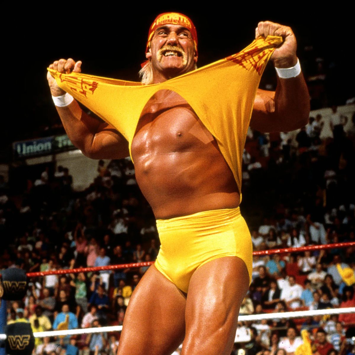 Hulk Hogan (Terry Bollea) Passes Away at 71