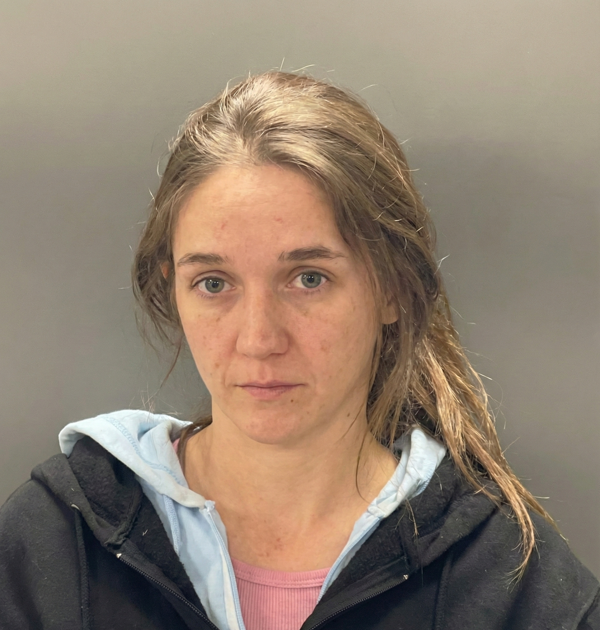 Solsberry Woman Facing 'Child Selling' Charge Following Owen County Arrest