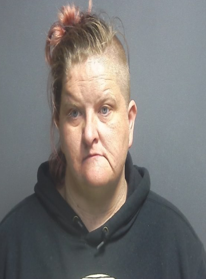Switz City Woman Charged with Felony Vehicle Theft as Greene County Reports Seven New Bookings
